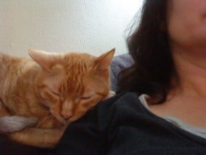 A cat sleeping and a women