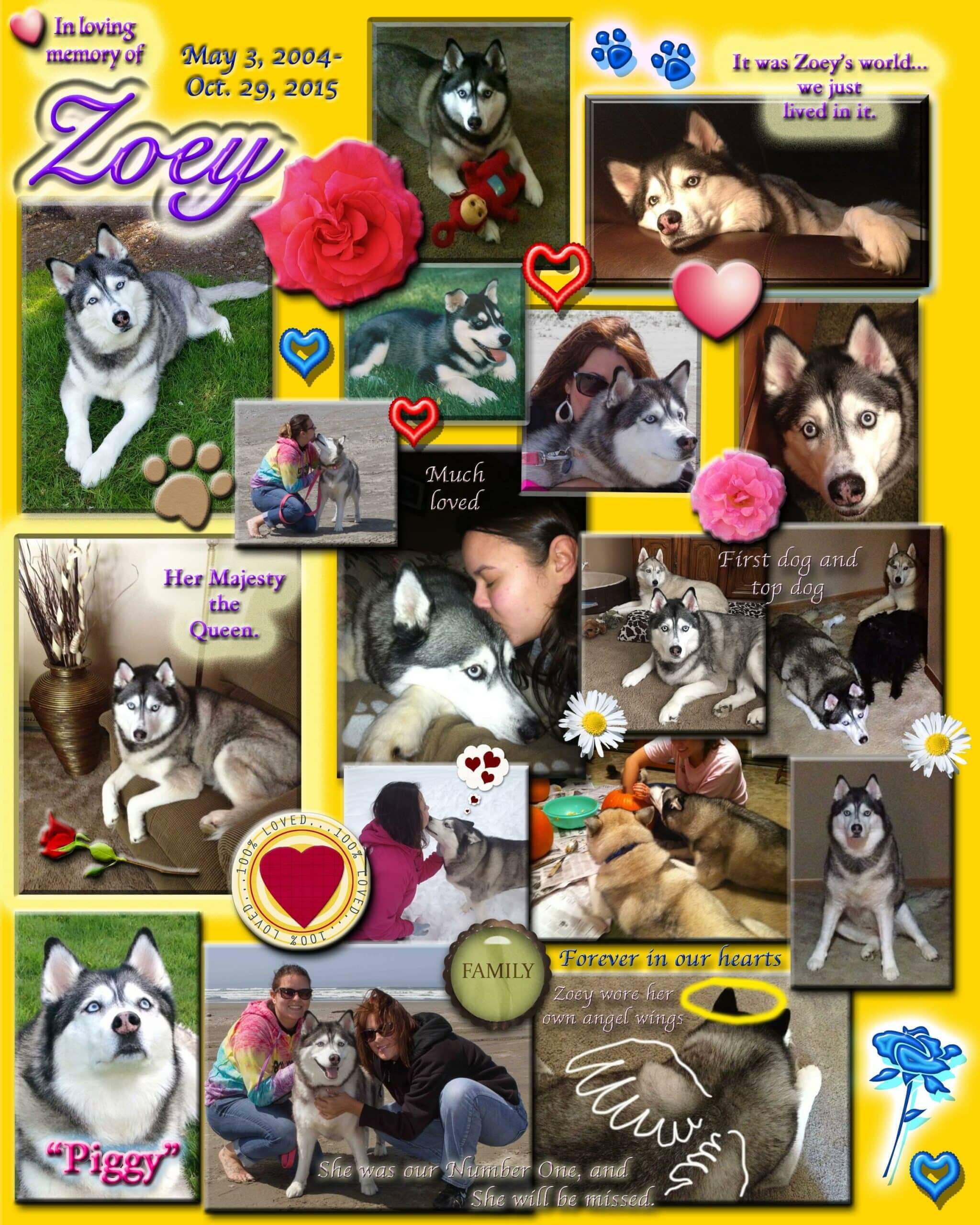 A collage picture of a dog and a women.