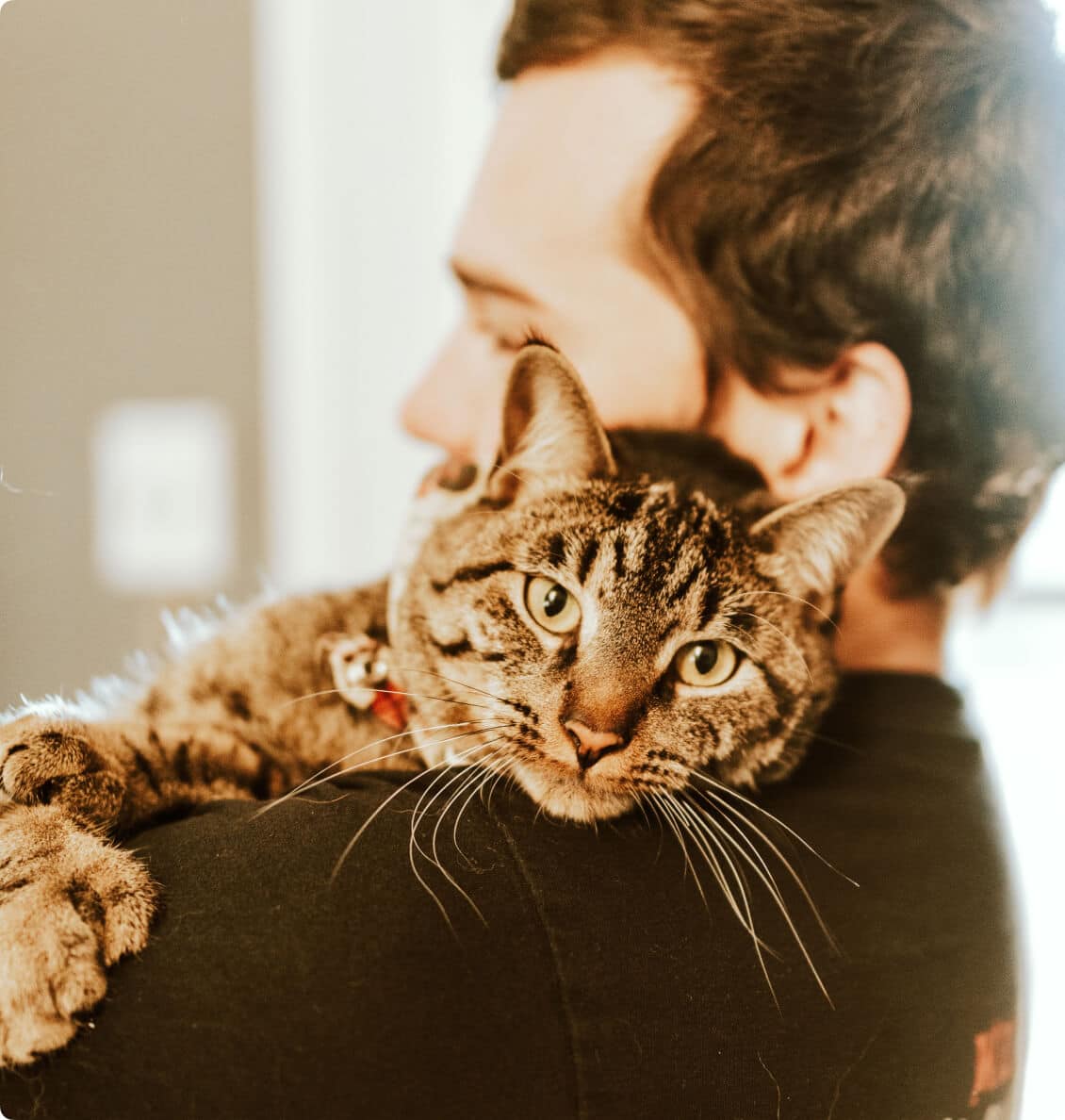 pet owner hugging his cat