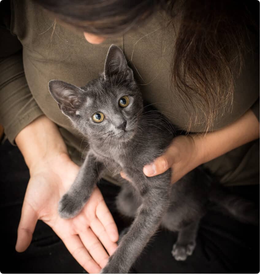 pet owner handling her cat