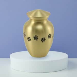 Paw Print Vase Bronze