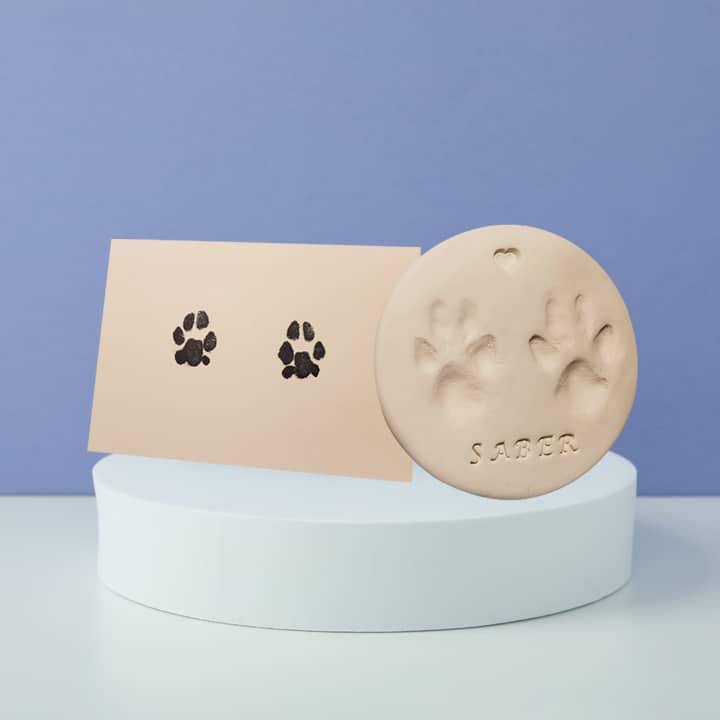 Pet Paw Prints - Compassionate Care Portland