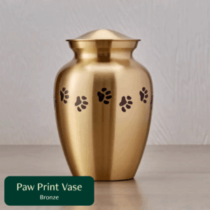 paw print vase bronze