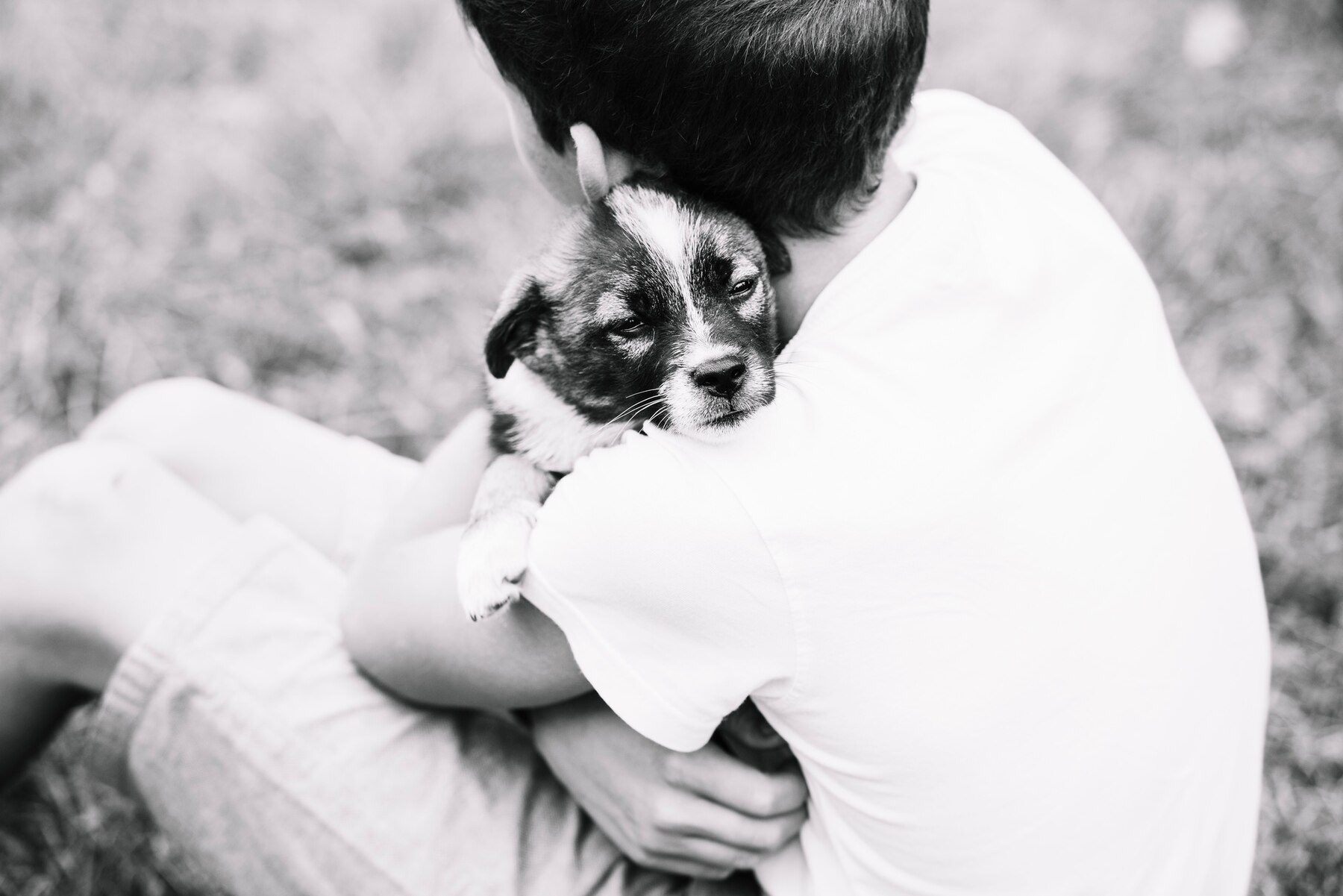 overhead-view-boy-embracing-his-lovely-puppy
