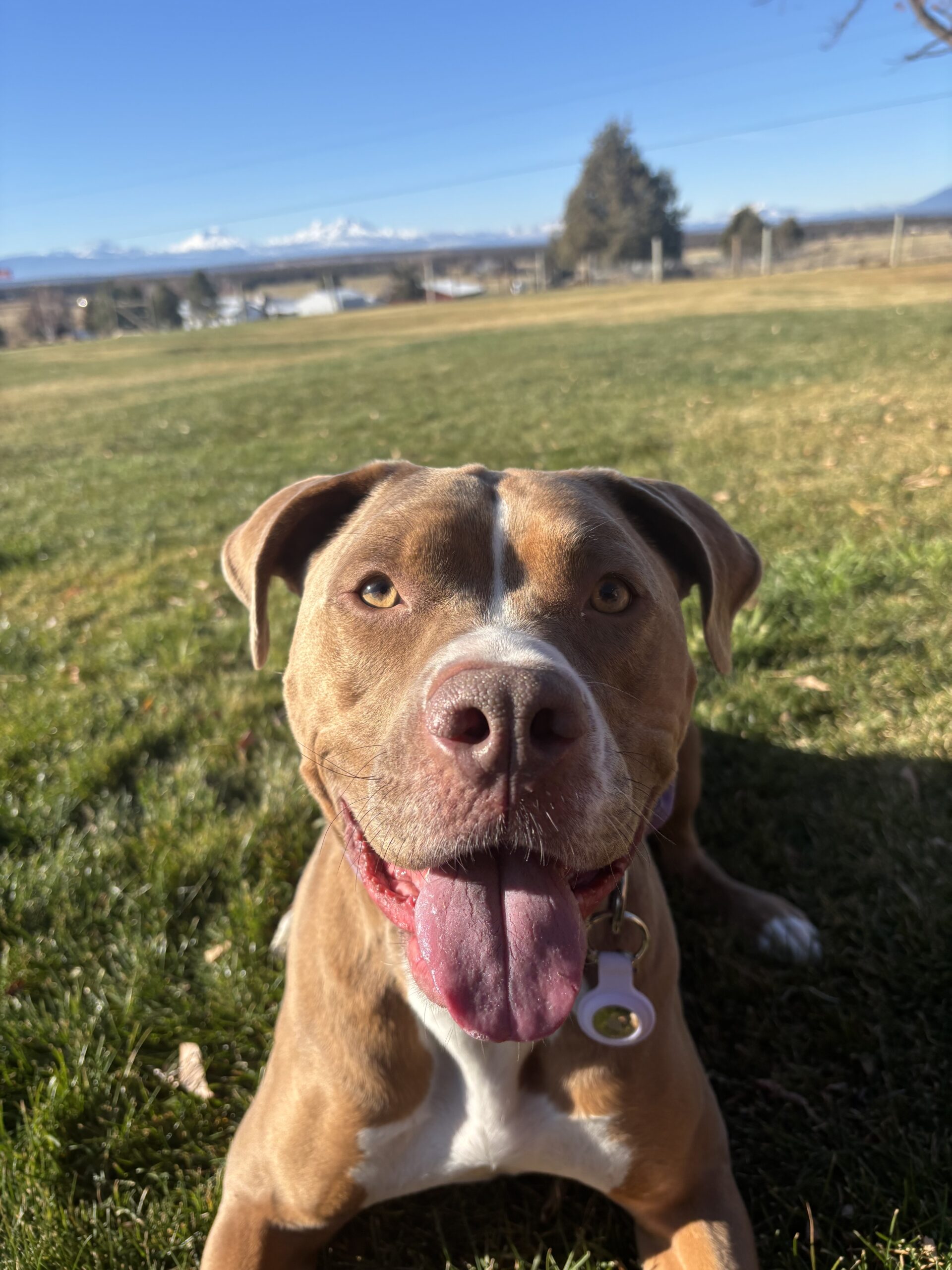 bula smiling