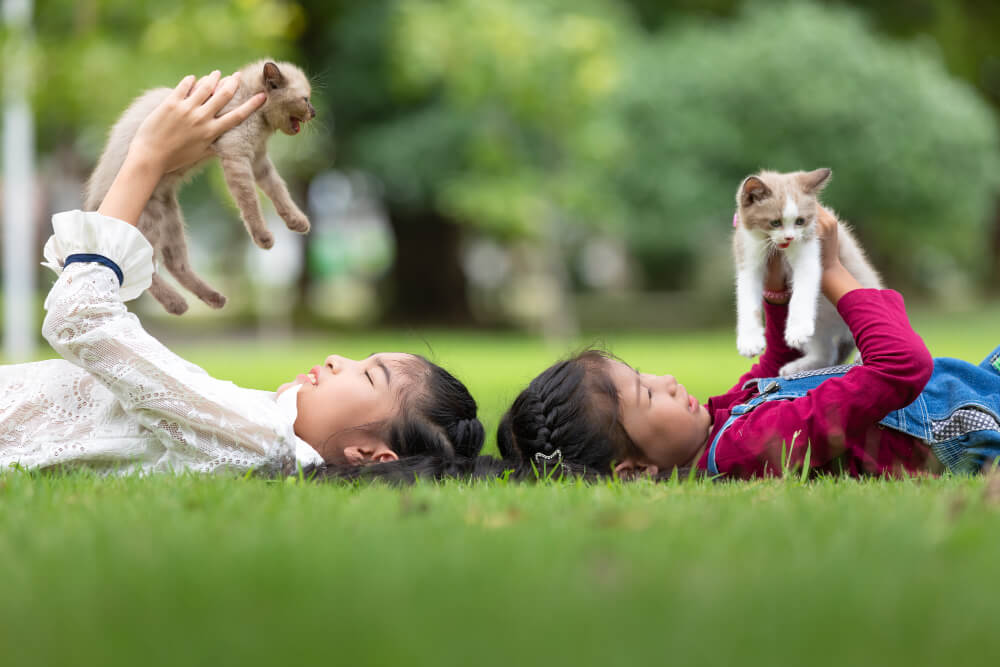 girl holding kittens in the park