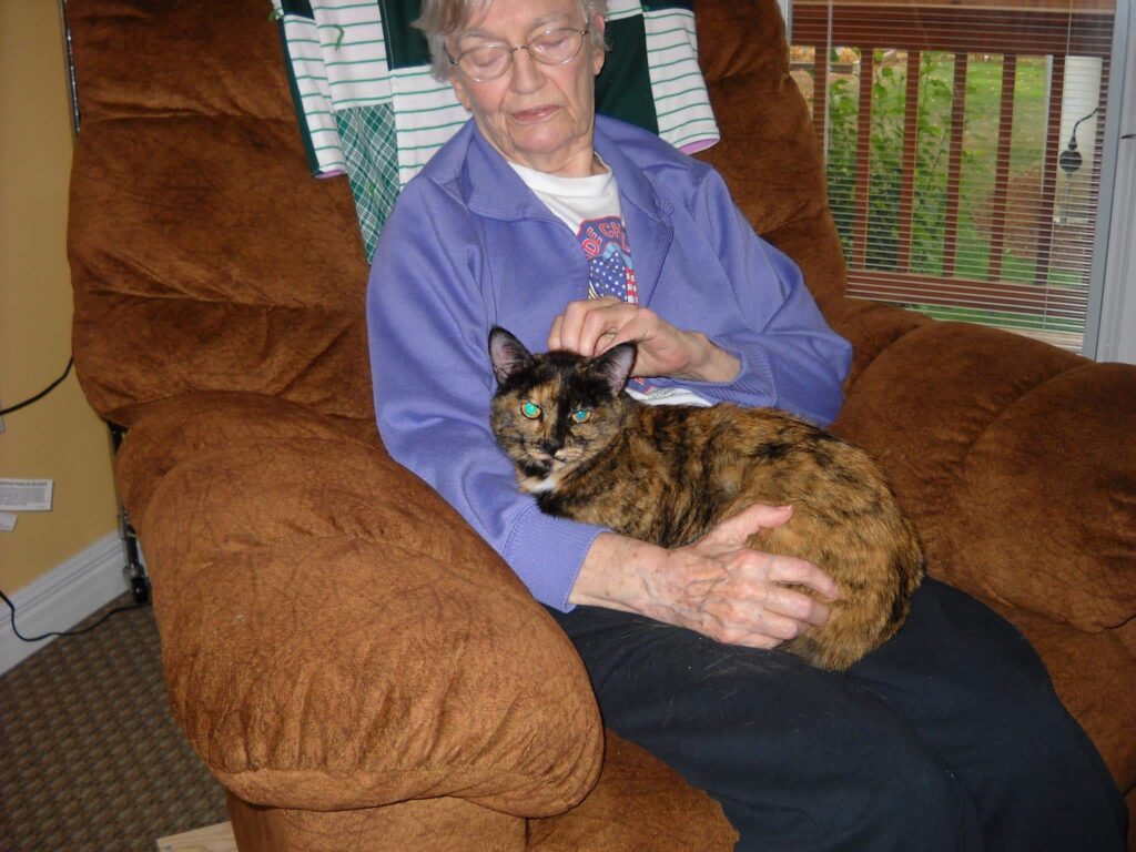 pet tribute image for a cat named Samantha