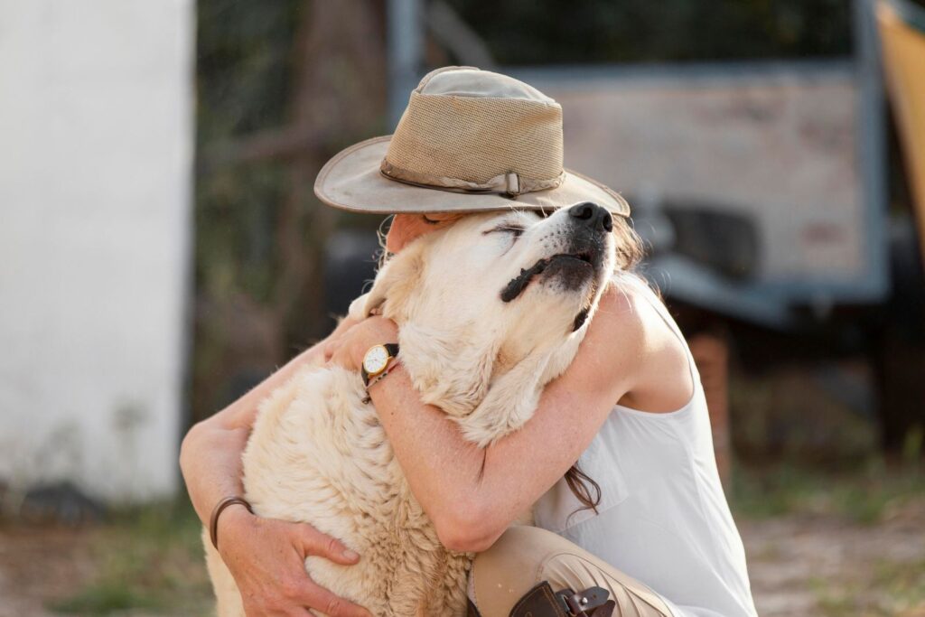 Sick white dog hugged by its owner